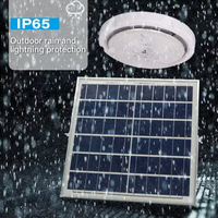 Lampe solaire de plafond intérieure Rts avec télécommande 200w 60W Ampoule solaire avec télécommande Éclairage extérieur IP66 Lampe de jardin
