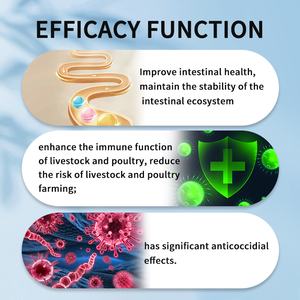 Tráng tinh dầu premix thức ăn phụ gia Thymol + carvacrol cho sức khỏe động vật thúc đẩy vitamin làm giảm viêm ruột - Product Image 4