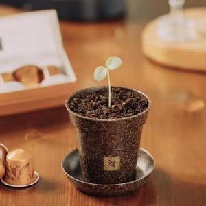 Pots <span class=keywords><strong>de</strong></span> cultivateur durables <span class=keywords><strong>de</strong></span> haute qualité <span class=keywords><strong>de</strong></span> 8cm faits <span class=keywords><strong>de</strong></span> <span class=keywords><strong>marc</strong></span> <span class=keywords><strong>de</strong></span> <span class=keywords><strong>café</strong></span> Jardinière écologique Pots <span class=keywords><strong>de</strong></span> plantation biodégradables Pots <span class=keywords><strong>de</strong></span> cultivateur - Product Image 5