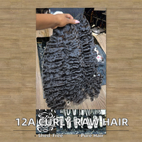 Wholesale Sexyladyhair 12A Virgin Vietnamese Remy Curly Hair Bundles Guangdong Customizable No Shedding No Tangle Machine Double