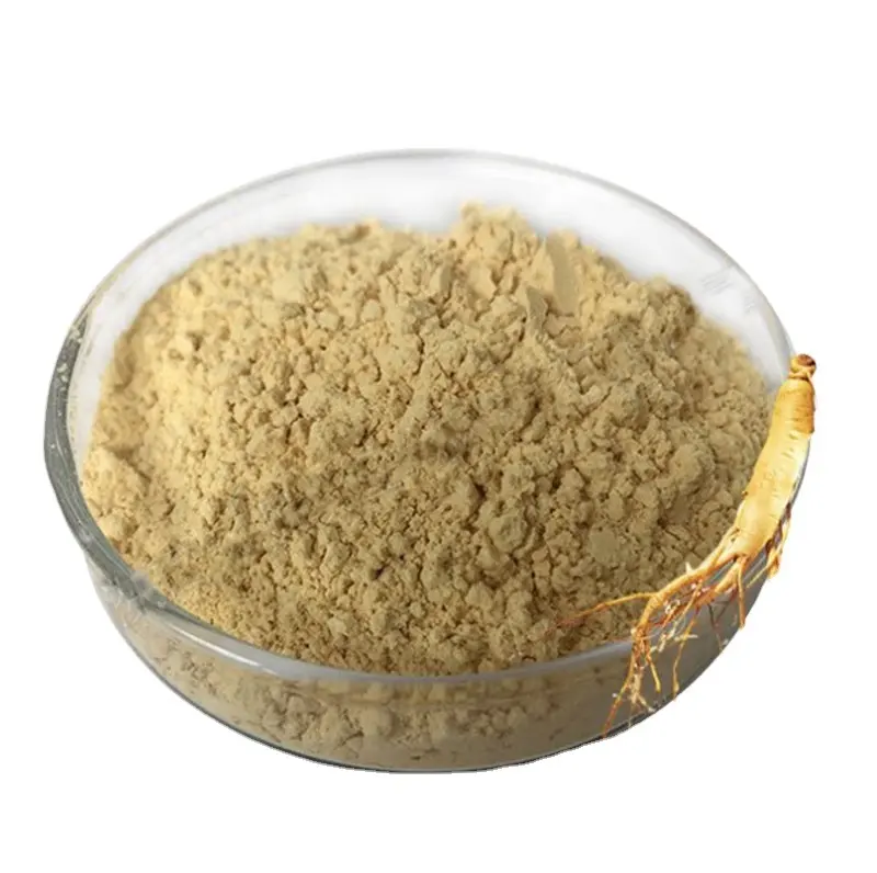 Dietary supplement american ginseng root extract powder Ginsenoside 80%