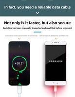 Câble de charge rapide double Type-C avec gaine TPE pour téléphones mobiles et tablettes Android et iPhone 15 16