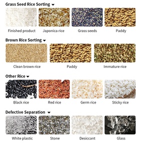 Cho Màu sắc SORTER máy cho Quinoa gạo nhựa cà phê hải sản hạt-500-1000 kg/h Công suất 99% độ chính xác - Product Image 3