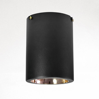 12W 15W 18W 20W 30W 40W 50W Anti-éblouissement Plafonnier rond encastré Cylindre LED Downlight COB Spot Lights Downlights
