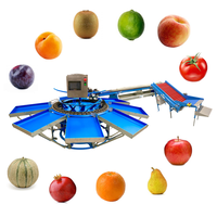 Máquina clasificadora de peso multifuncional pequeña CALIBREX fabricada en Francia para tomate y melón con mesa elevadora de rodillos