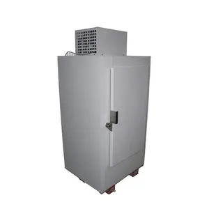 Single Door 300 L Outdoor Bagged Ice Merchandiser Ice Cooler Unit