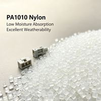 Granulés de résine de nylon 1010 PA1010 à base de bio-matériaux