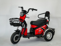 Three Wheels Electric Bike Motorcycle 600W 800W Electric Passenger Tricycle With Baby Seat