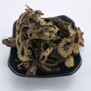 Sheng Ma ร้อนขายสมุนไพรคอฮอชดํารากคอฮอชดําสําหรับสารสกัดจากสมุนไพร - Product Image 4