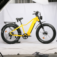 Vélo électrique mini haute puissance avec double moteur de moyeu arrière 500W, cadre en alliage d'aluminium, batterie lithium intégrée 48V 20Ah, Turquie