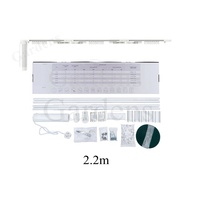 Moteur de rideau de jardin, télécommande, module de rideau Tuya, moteur d'entraînement électrique, rail de rideau intelligent, utilisation à domicile, à l'hôtel et au bureau