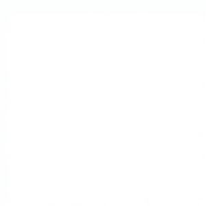 Placas Ortopédicas Veterinarias Quirúrgicas de Titanio 2.4/2.7/3.5mm, Placa de Bloqueo para Animales con Certificación CE - Product Image 3