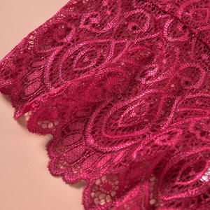 Gran oferta de fábrica, alta calidad, tallas grandes, Tanga de encaje para mujer, bragas finas, punto caliente Sexy, venta al por mayor - Product Image 4