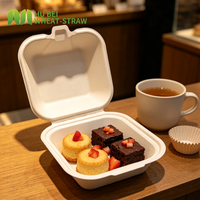 Boîte à gâteau à emporter 4x4 pouces en canne à sucre, conteneur à dessert jetable à clapet, écologique, en fibre végétale