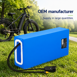 <span class=keywords><strong>Batterie</strong></span> de vélo électrique écologique à charge rapide, <span class=keywords><strong>prix</strong></span> en gros, 12V/36V/48V/52V/60V/72V, pour scooter, planche à roulettes électrique, longboard - Product Image 1