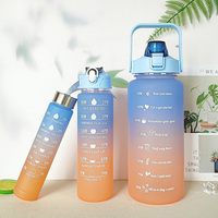 프로스트 그라데이션 3종 세트 대용량 플라스틱 컵 2000/750/300ML 물컵 휴대용 스포츠 야외 물병