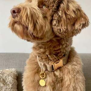 Monedas de Joyería Personalizadas al por Mayor con Logotipo Grabado en Acero Inoxidable Chapado en Oro de 18K para Mascotas - Product Image 6