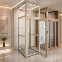 Porte d'ascenseur de villa à double ouverture coulissante automatique, couleur personnalisée, avec panneau de verre pliant manuel et éclairage LED