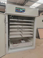 Incubateur à haute productivité limitée pour 60 000 œufs, machine d'éclosion de 19 712 œufs, entièrement automatique