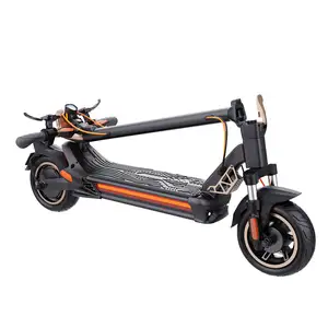 Aluminum Frame 800W 10-inch Long Range Electric Scooter Front and Rear Disc Brakes and Electronic Brakes EU-USA Warehouse