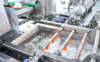 Groentewasmachine voor 800-1500 kg/uur, geschikt voor knoflook, citroen, chili, aardappel, fruit en groenten na de oogst.