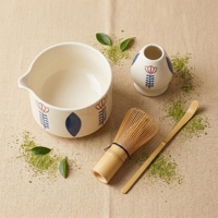 Ensemble de thé matcha en céramique à motif floral folklorique, avec bol à bec verseur, fouet en bambou, support pour fouet, passoire, style japonais, coffret cadeau, vente en gros