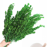 Fleurs décoratives de Noël, plantes naturelles, véritables, préservées, buis, petites feuilles de buis pour couronnes de Noël