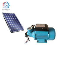 Pompa air irigasi, sikat Dc permukaan tenaga surya 12V 180W QB60 pompa air DC untuk irigasi