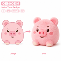 Coussins en peluche anime personnalisables à succès – Fabricant de jouets en peluche personnalisés avec logo