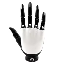 Dexterous Hand Flexible Collaborative Robot with Motor for Medical Industry Use and Pianists Light Weight