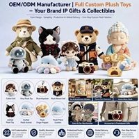 Fabricant OEM/ODM de jouets en peluche personnalisés : Poupée Chat Sorcière avec Cape Fantôme et Jupe Violette pour les Fêtes