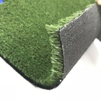 Gazon artificiel imperméable pour cricket, hauteur de poils de 10 mm, pour intérieur, synthétique, haute densité PE SF10