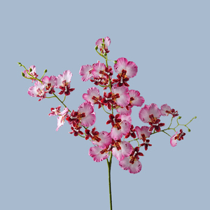 <span class=keywords><strong>Orchidea</strong></span> Danzante 3D Stampata di Alta Qualità con 3 Steli, Simulazione di Phalaenopsis Multicolore, Bouquet Artificiale <span class=keywords><strong>per</strong></span> Decorazioni Matrimoniali e Domestiche - Product Image 4