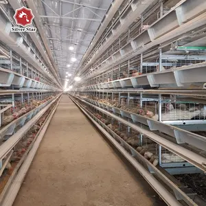 chicken cage poultry breeding equipment for sale in pakistan fully automatic egg chicken farm layer cage