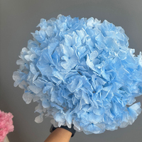 Bunga Hydrangea Asli Awet Alami Tangkai Tunggal, Bunga Kering Abadi untuk Dekorasi Wisuda, Pernikahan, Pesta, Rumah, Hadiah Ulang Tahun, dan Hari Valentine