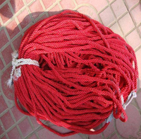 Colorant rouge dispersé E-2GFL Rit, colorant pour tissu, pour polyester