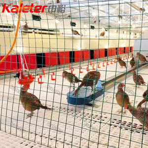 Solution clé en main nichoir automatique poules pondeuses pondeuses ferme collecte d'œufs éleveur de volailles maison bien-être déploiement - Product Image 2