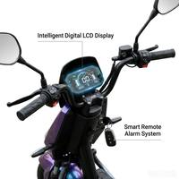 MTBGO Hot Sale Adult Electric Motorcycle CKD City Electric Bike 2 Wheel E Scooter with LED Headlight
