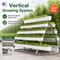 Système de culture verticale hydroponique en gros facile à installer avec gouttière et une durée de vie de 10 ans pour balcon