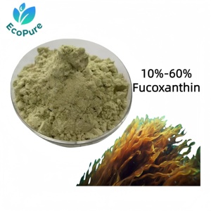 Extrait de Laminaria Japonica Fucoxanthine 10%-60% Poudre de complément alimentaire Qualité alimentaire Marque EcoPure - Product Image 1