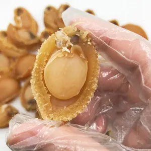 N09 Bao yu gan Wholesale Natural products dried abalone