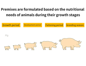 La apariencia <span class=keywords><strong>de</strong></span> polvo <span class=keywords><strong>de</strong></span> premezcla <span class=keywords><strong>de</strong></span> cerdos <span class=keywords><strong>de</strong></span> grado <span class=keywords><strong>de</strong></span> alimentación animal para construir esqueleto y cerdos <span class=keywords><strong>de</strong></span> engorde <span class=keywords><strong>ayuda</strong></span> con el aumento <span class=keywords><strong>de</strong></span> peso - Product Image 6