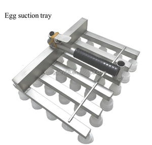 Machine automatique de cueillette d'œufs Emballage de collecte d'œufs <span class=keywords><strong>sous</strong></span> <span class=keywords><strong>vide</strong></span> de 30 pièces Équipement de <span class=keywords><strong>cuisson</strong></span> à l'état neuf <span class=keywords><strong>pour</strong></span> la viande - Product Image 5