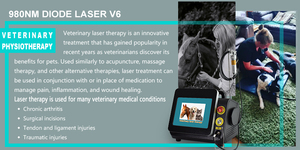 Dispositivos Portátiles para el Alivio del Dolor, Equipo de Fisioterapia Terapéutica Animal, Máquina de Ultrasonido para Terapia Física en Mascotas - Product Image 6
