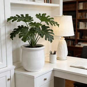 Maceta de Cerámica con Borde Ancho y Diseño de Barril, Color Blanco Brillante, para Interiores y Exteriores, Decoración de Jardín y Patio, Venta al por Mayor, con Orificio de Drenaje - Product Image 1