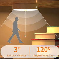 Veilleuse LED rechargeable par USB avec détecteur de mouvement pour chambre d'enfant, décoration intérieure, escaliers, placard, armoire, lampe de cabinet