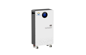 Sistema de Almacenamiento de Energía Solar de Alta Capacidad de 16 kWh, Paquete de Baterías de Iones de Litio de 51.2 V y 314 Ah |   Fabricante de BESS de Primera Línea Desde 2016 - Product Image 2