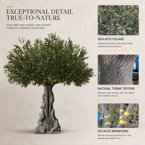 Large <strong>Artificial</strong> Olive <strong>Tree</strong> Custom Size Fiberglass Trunk For Hotel Atrium Mall Commercial Projects Wedding Christmas Durable - Product Image 3