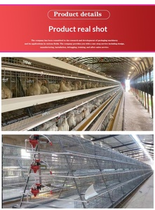Jaula automática de 4 niveles para 30.000 gallinas ponedoras tipo batería para granja avícola - Product Image 2