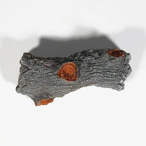 인공 수지 공예 침몰 나무 껍질 새우 탈출 집 어항 풍경 장식 - Product Image 3